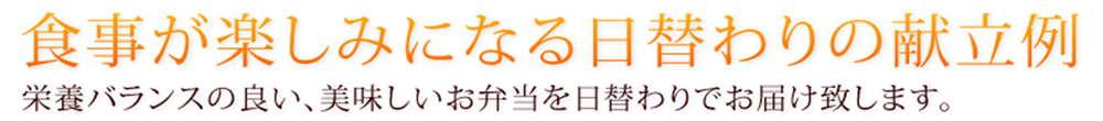 食事が楽しみになる日替わりの献立例